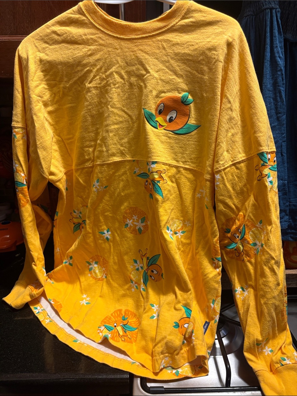 Orange Bird Spirit Jersey